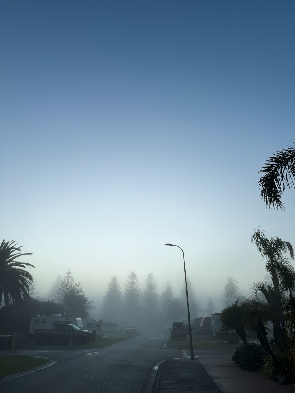 Foggy Morning